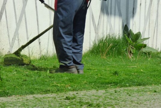 na čo myslieť pri kosení trávnika