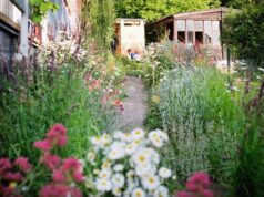 záhradný architekt radí