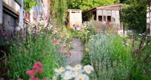 záhradný architekt radí