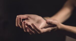 ako si vytýčiť hranice