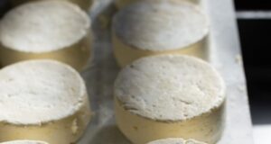 recept na domáci farmársky syr