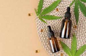 popularita cbd olejov