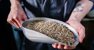 zrnková káva arabica robusta