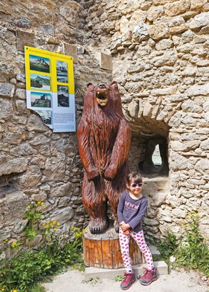 medved na hrade Lietava