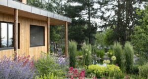 liečivá a jedlá záhrada