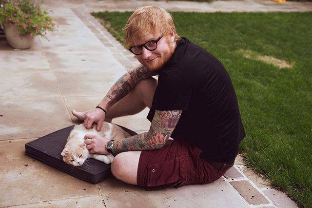 Ed Sheeran slávne zvieratá