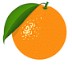 ikona pomaranc
