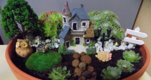 ako si vyrobiť minizáhradky