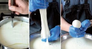 domáca mozzarella recept