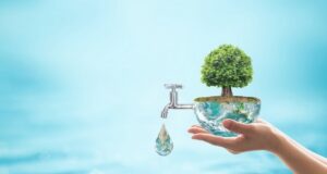 triky, ako ušetriť na spotrebe