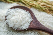 druhy ryže