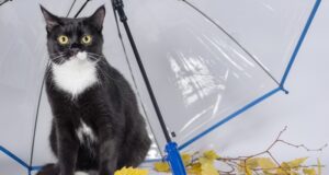 odhaľte tajný svet počasia