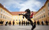 slávnosť koní na zámku Schloss Hof