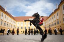 slávnosť koní na zámku Schloss Hof