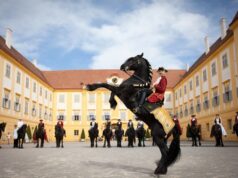 slávnosť koní na zámku Schloss Hof