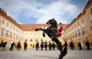slávnosť koní na zámku Schloss Hof