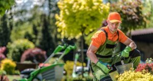 ako sa postarať o dom