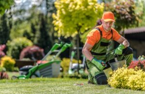 ako sa postarať o dom