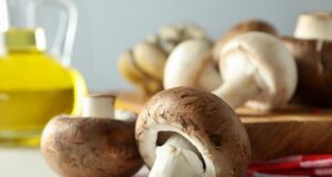 konzervácia a spracovanie húb