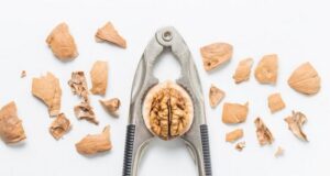 ako využiť orechové škrupiny