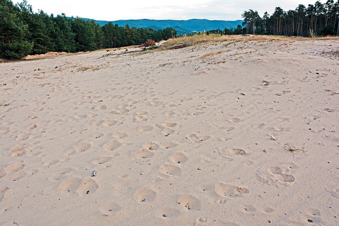 slovenská púšť Šranecké piesky