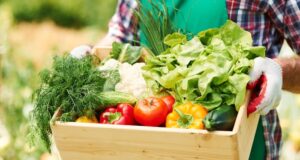 zelenina pre zdravú myseľ