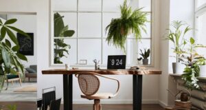 podmienky na prácu z domu