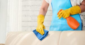 starostlivosť o kožený nábytok