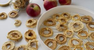 výhody a nevýhody sušičiek potravín