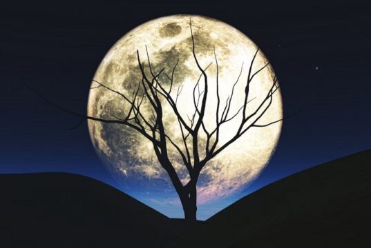 vplyv mesiaca na rastliny