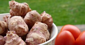 topinambur pestovanie a spracovanie