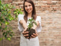 ako si vypestovať priesady