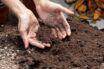 priprava-pody-na-jar-zemina-kompost