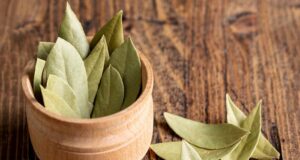 bobkovy-list-v-miske