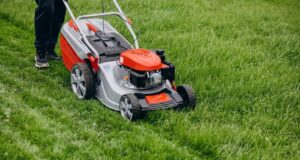 ako-vyuzit-pokosenu-travu