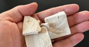 kvasnice-drozdie-ako-hnojivo-na-rastliny