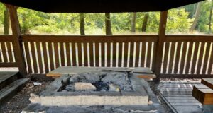 zákaz-kladenia-ohna-v-lese