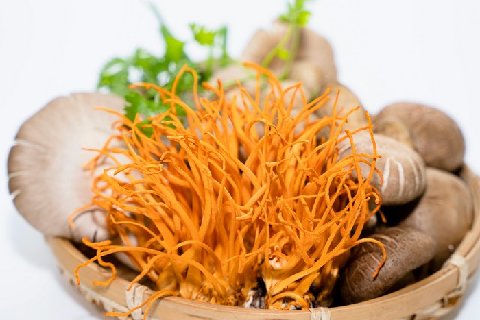 medicinalne-huby-cordyceps