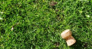 ako-vyuzit-korkove-zatky-na-zahrade