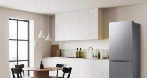 kombinovana-chladnicka-s-mraznickou-samsung