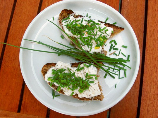 pazitka-chlieb-s-maslom