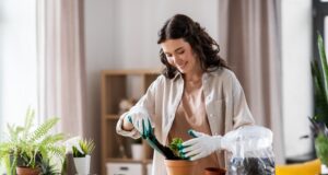 udrzba-domova-tipy-rady