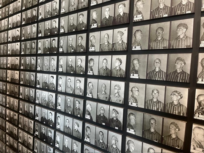 auschwitz-zidia-tabula