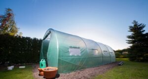 foliovniky-ako-spravne-vybrat