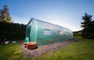 foliovniky-ako-spravne-vybrat