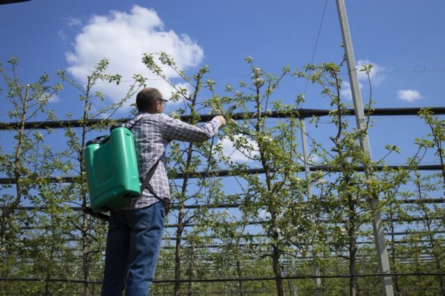 predjarny-postrek-zahrada-muz