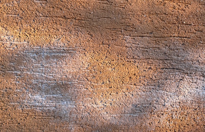 solny-vykvet-na-mure