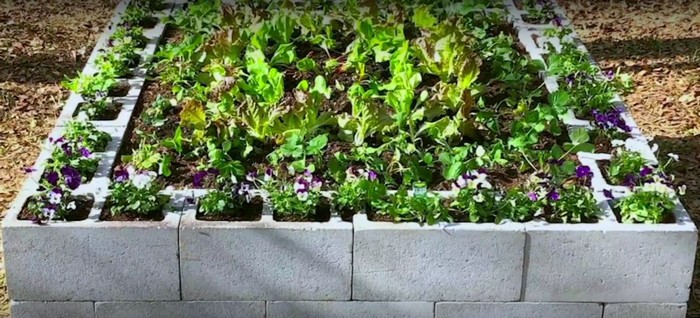 vyvysene-zahony-betonove-tvarnice