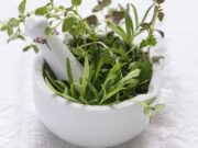 aprilove-bylinky-v-maziariku