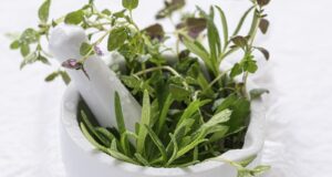 aprilove-bylinky-v-maziariku